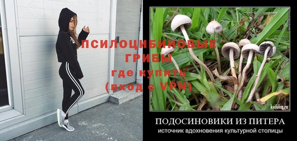 COCAINE Белокуриха